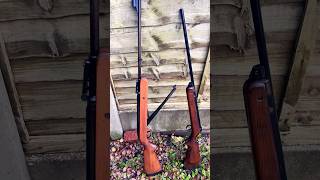 BSA Air Rifles vs Cans