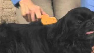 Furminator: Grooming Tools For Dogs | PetMeds