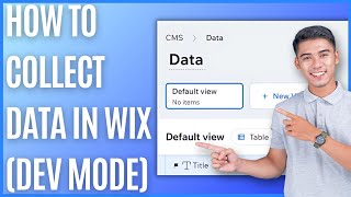 How to Collect Data in Wix in Dev Mode [Quick Guide]