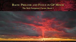 Bach: Prelude and Fugue in G# Minor | Well-Tempered Clavier, Book 2 | Werner Elmker