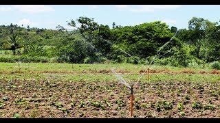 Irrigação para pequenos produtores