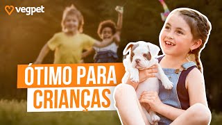 ANIMAIS E CRIANÇAS | Benefícios Dessa Convivência