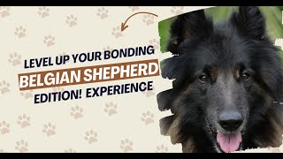 Level Up Your Bonding Experience Belgian Shepherd Edition!