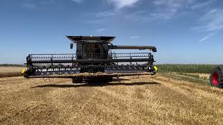 🌾🌾🌾Żniwa 2023 ◾ Fendt IDEAL 7 ◾ powiat głubczycki  🌾🌾🌾