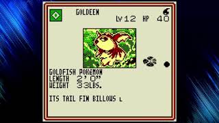 Pokémon Trading Card Game | Gameboy | Part 4