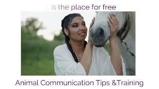 Animal Communication with Dr.  Cara 2022