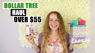 DOLLAR TREE HAUL August 23, 2018 Over $55