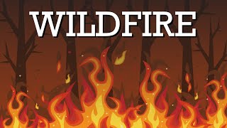 What causes Wildfires and why they are difficult to control?