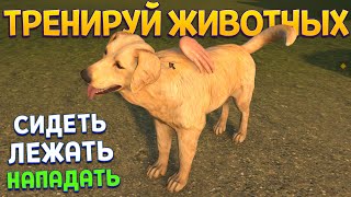 ТРЕНИРУЙ ЖИВОТНЫХ ИСПОЛНЯТЬ КОМАНДЫ ( Animal Trainer Simulator )