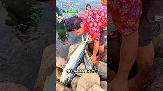 HASIL MANCING NELAYAN|FISHING@f3channel.537