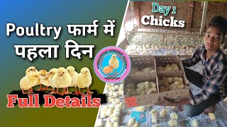 Day 1 poultry farm full details || पोल्ट्री फार्म में पहला दिन || broiler farm || poultry farm