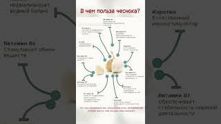 Будьте здоровы! Ешьте чеснок! Подробнее в описании...