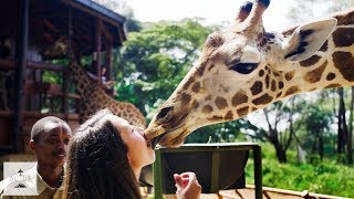 Top 2 Things to Do in Nairobi