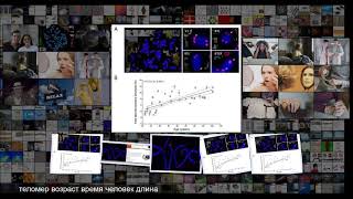 Итальянцы нашли у пожилых людей аномальные структуры в теломерах