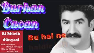 Burhan Cacan - Bu hal ne haldir (ai)