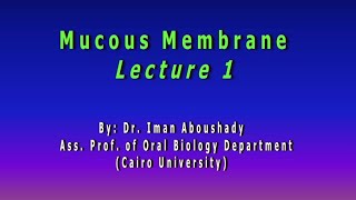 Oral Biology 2 ; Lec 2 ; Mucous Membranes