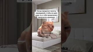 #юмор #смех #шутка #ржака #мемчики #прикол #угар #мемы #рофл #fypシ #рек #тикток #ютуб