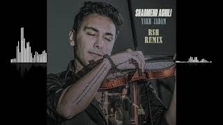 Shadmehr Aghili - Yakh Zadam - RSH Remix