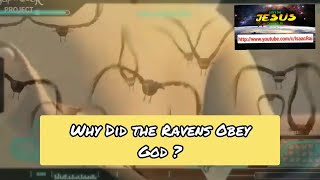 Why did the Ravens obey God ? || Life Lesson From Superbook