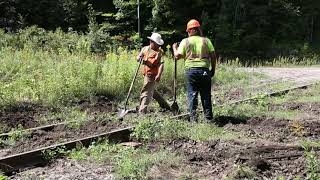 Track workers slightly north of Gull Pond Road - 8/24/2021 @ 2:22 PM - R.D.W. 430 - B10I5120