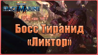 Узрел гнев императора и полетел изучать космическую программу!  #4(Warhammer40k: SM2, Ангел Смерти)