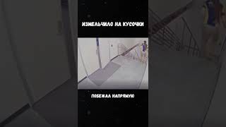 В Аэропорту Мужчина Побежал Напрямую к Самолету #новости