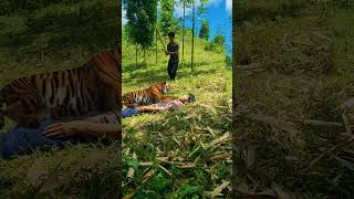 you will not die anymore care is to cacth the tiger is the river part 84 #shorts #viral #trending