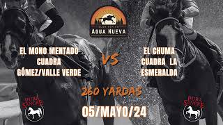 EL MONO MENTADO VS EL CHUMA -  05 DE MAYO 24 -  CLUB HIPICO AGUA NUEVA