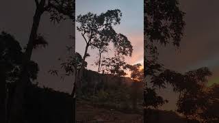 🌄 Morning Sound #fyp #viralshorts #nature #viral