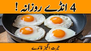 The Shocking Truth About EGGS (EAT 4 DAILY!) | Eggs Ke Fayde - Dr. YK