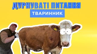 Дурнуваті питання: тваринник | Михайло Травецький | Куркуль