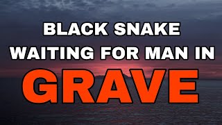 SNAKE IN GRAVE OF TURKEY PRESIDENT !