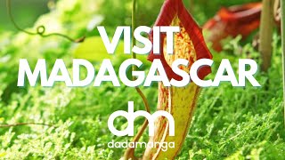 Visit Madagascar with Dadamanga 2022