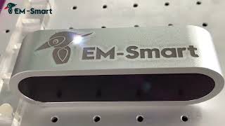 Logo Engraving on Card Holder with EM-Smart Laser