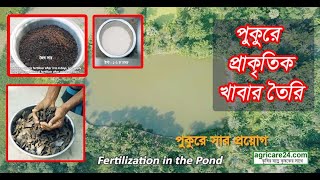 পুকুরে প্রাকৃতিক উপায়ে খাবার তৈরির কৌশল ।। Fertilizaton In The Pond