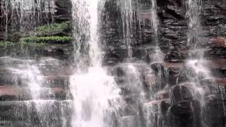 Falls Trail at Ricketts Glen State Park, PA - Summer 2012