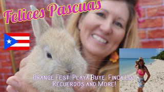 Spring 2024 in Puerto Rico: Playa Buye, Orange Festival and Lares Easter Farm Fun!