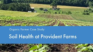 Farmer to Farmer Case Study: Soil Health at Provident Farms