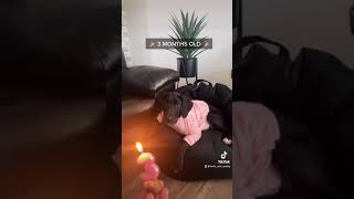 Great Dane 3 months #shorts #short #shortvideo