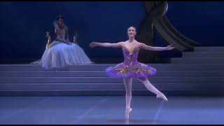 SLEEPING BEAUTY - Amethyst Fairy (Krasina Pavlova - Staatsballett Berlin)