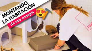 CÓMO preparar la HABITACIÓN de tu CONEJO 🐰🌿🏠 - MUDANZA (Parte 2)