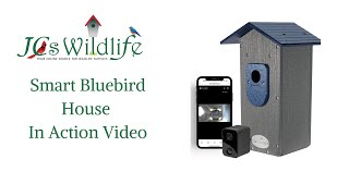 Smart Bluebird House