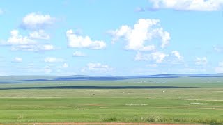 “Жаахан шаргын нутгаар”: Сүхбаатар аймгаас бэлтгэв /2024.08.01/