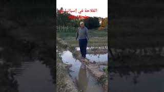 الفلاحة في إسبانيا مع Abo Amin