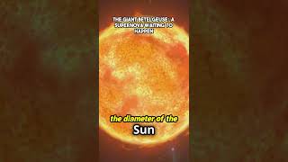 The Giant Betelgeuse  A Supernova Waiting to Happen1