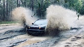 Exploring Citrus WMA Offroad | Toyota Tacoma & 4Runner | Local Caves