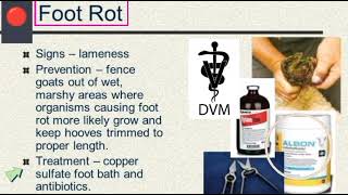 Foot rot || Term foot rot ||Signs, prevention and treatment of foot rot  ||