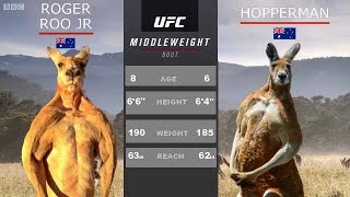 Kangaroo Fight With UFC Commentary