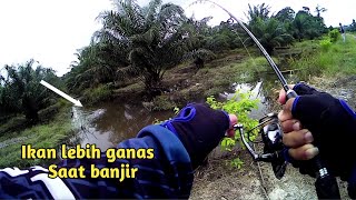 CASTING IKAN GABUS HARUAN SAAT BANJIR SPOT SEPERTI LAUT || SNAKEHEAD FISH