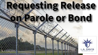 Release from ICE Detention: Parole and Bond Overview